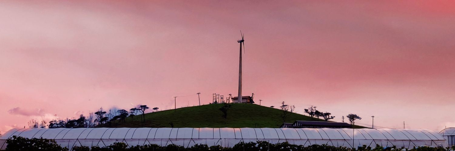amzereus's profile banner image