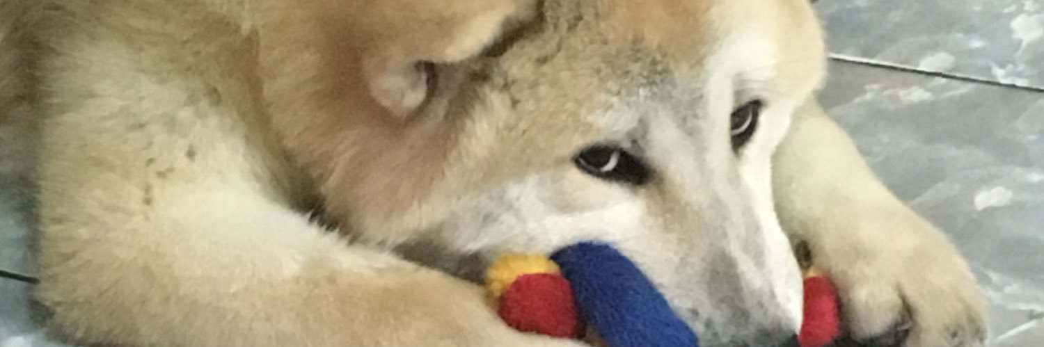Levoltado's profile banner image
