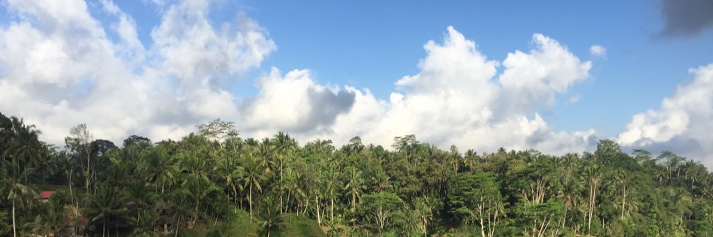 mochanovi's profile banner image