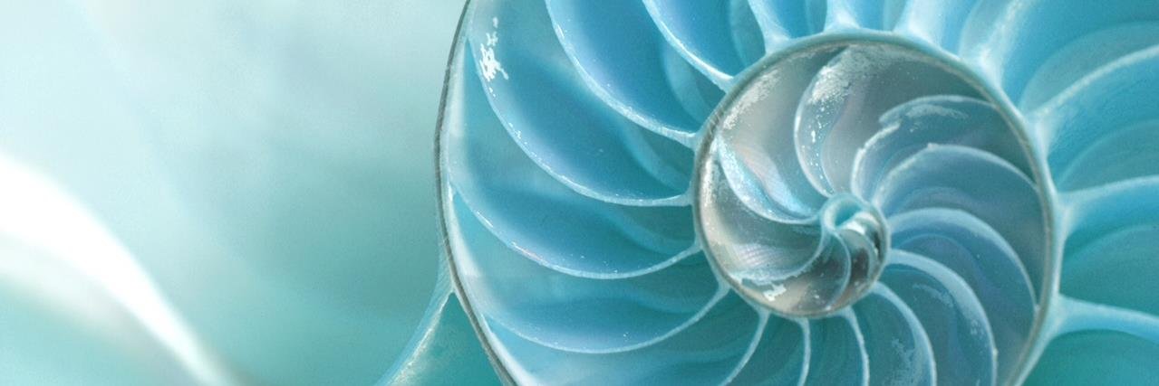 TCCcoaching's profile banner image