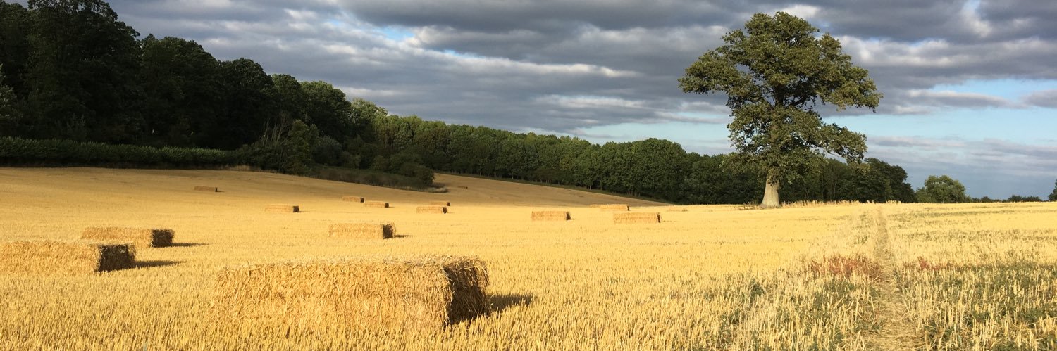Rory Boland 🇺🇦 banner