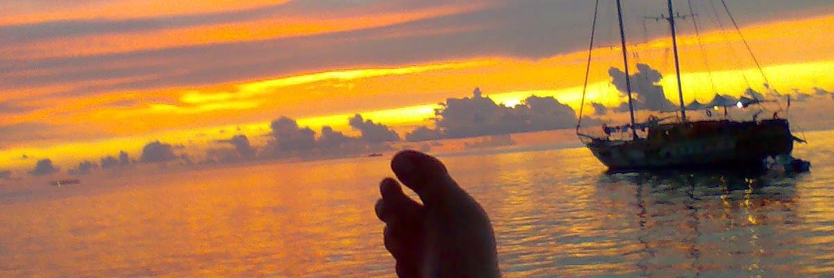 francesca_74's profile banner image