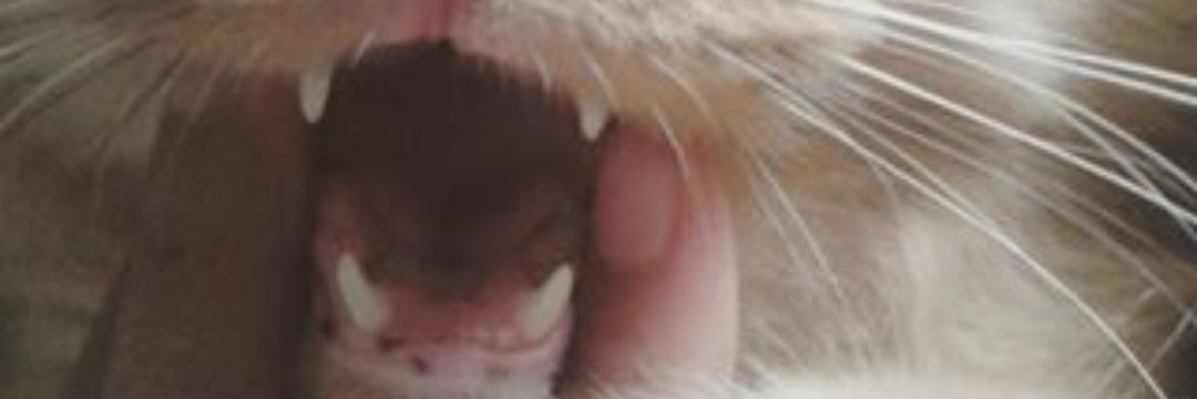 marethadd's profile banner image