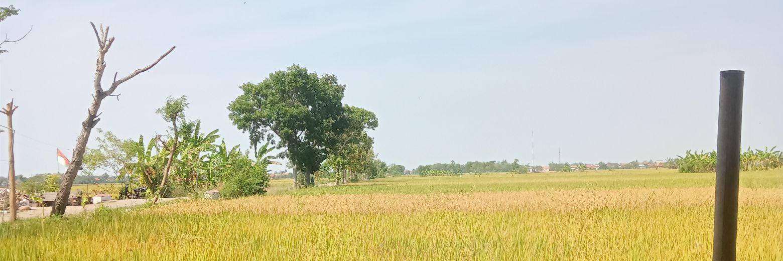 Netizen biasa banner