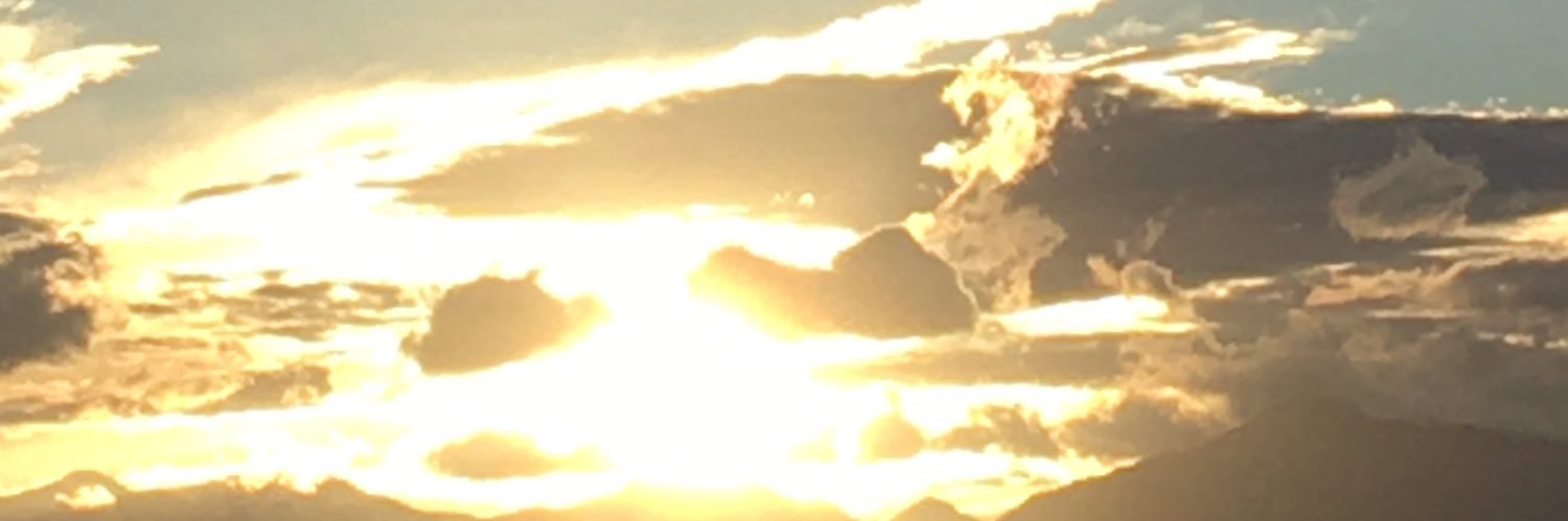 wabiscuit's profile banner image