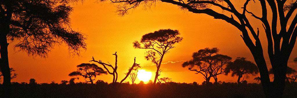 Sébastien Németh banner