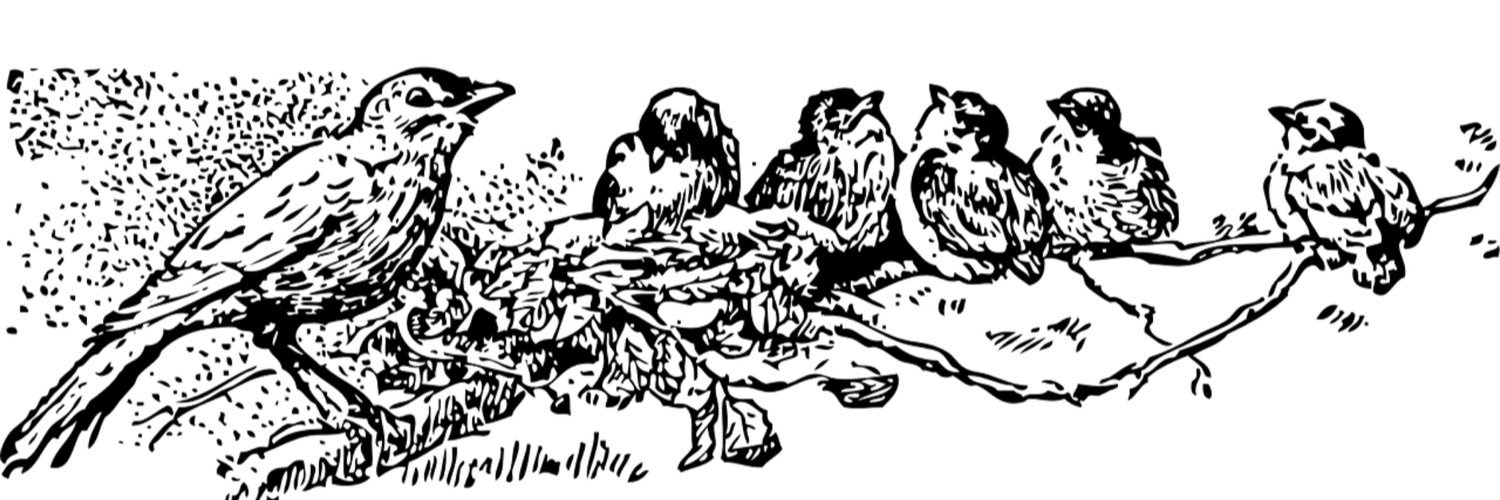 PhilMillet's profile banner image