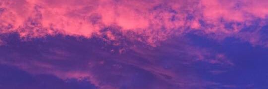 Oniponi89's profile banner image