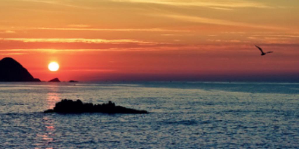 samanthacarbon's profile banner image
