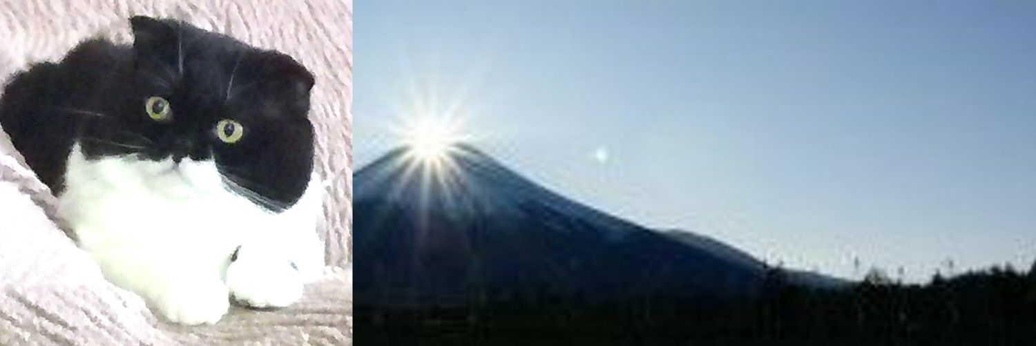 たけひで's banner