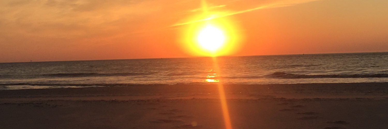 DavidsonEmma's profile banner image
