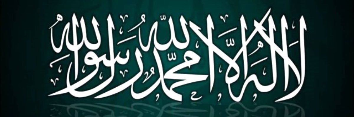 AKKULİS banner