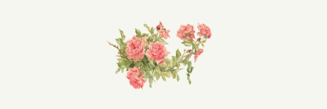 crissy_mari_'s profile banner image