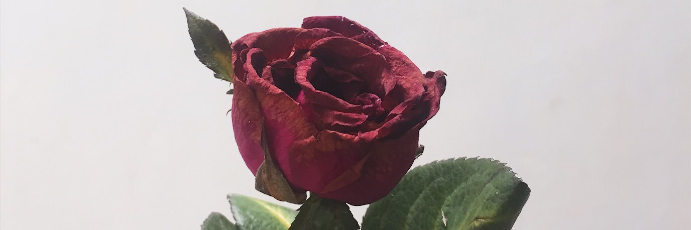 nr_aprlputri's profile banner image