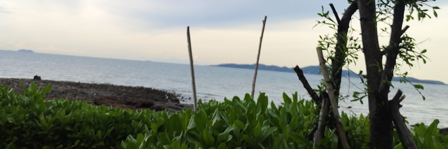 GateMungprom's profile banner image