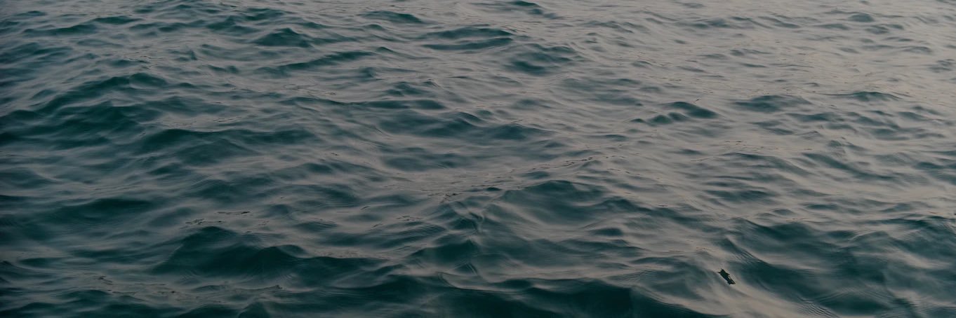 maddbarb's profile banner image
