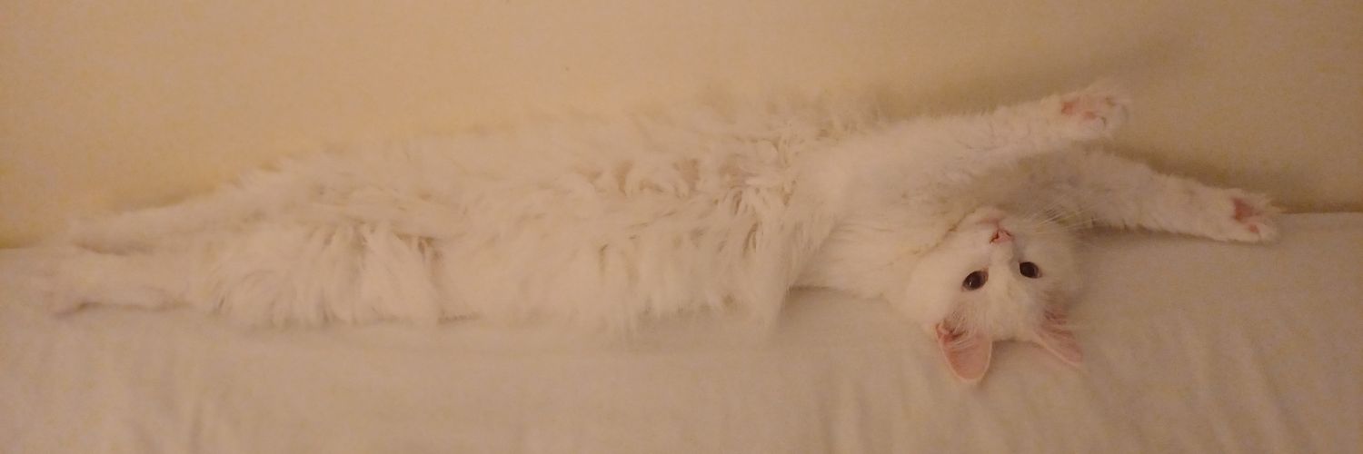 Steve Blackburn banner