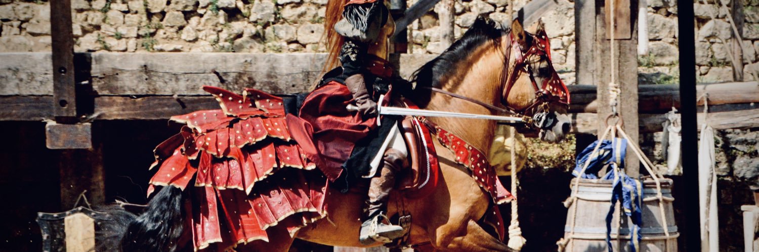 DidiBohl's profile banner image