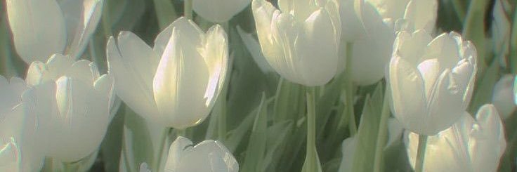 jrlsx_'s profile banner image