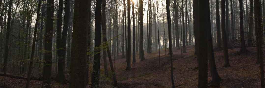FraukeVDHelst's profile banner image