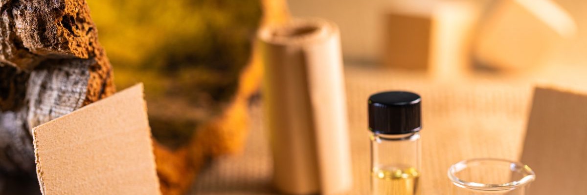 IITalk's profile banner image