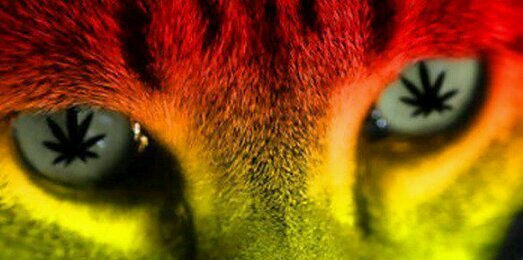 Kad_mcfayden's profile banner image