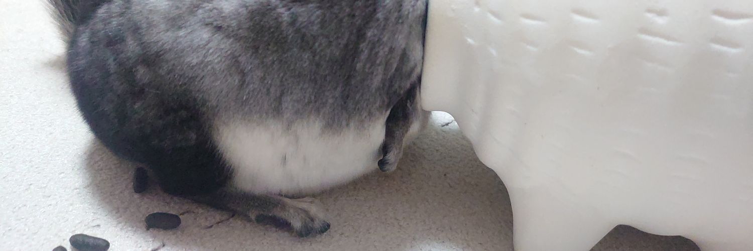 うにと弱音とベビ banner