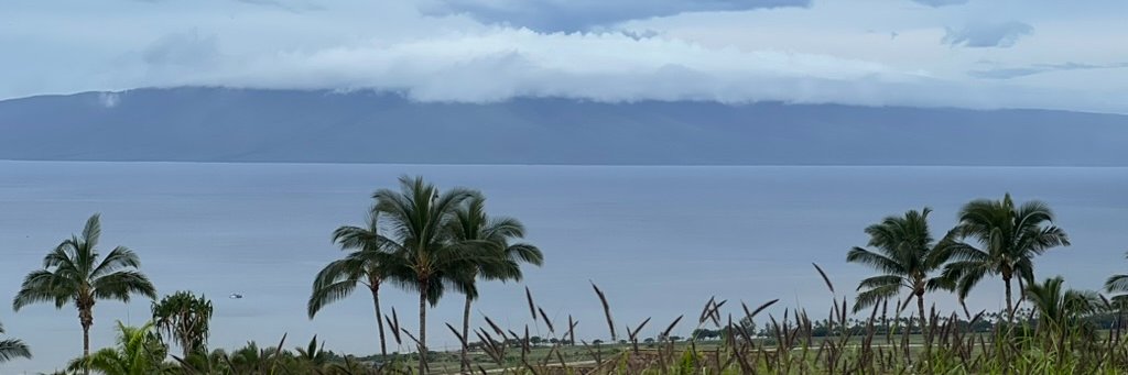 Ryan Smallegan banner