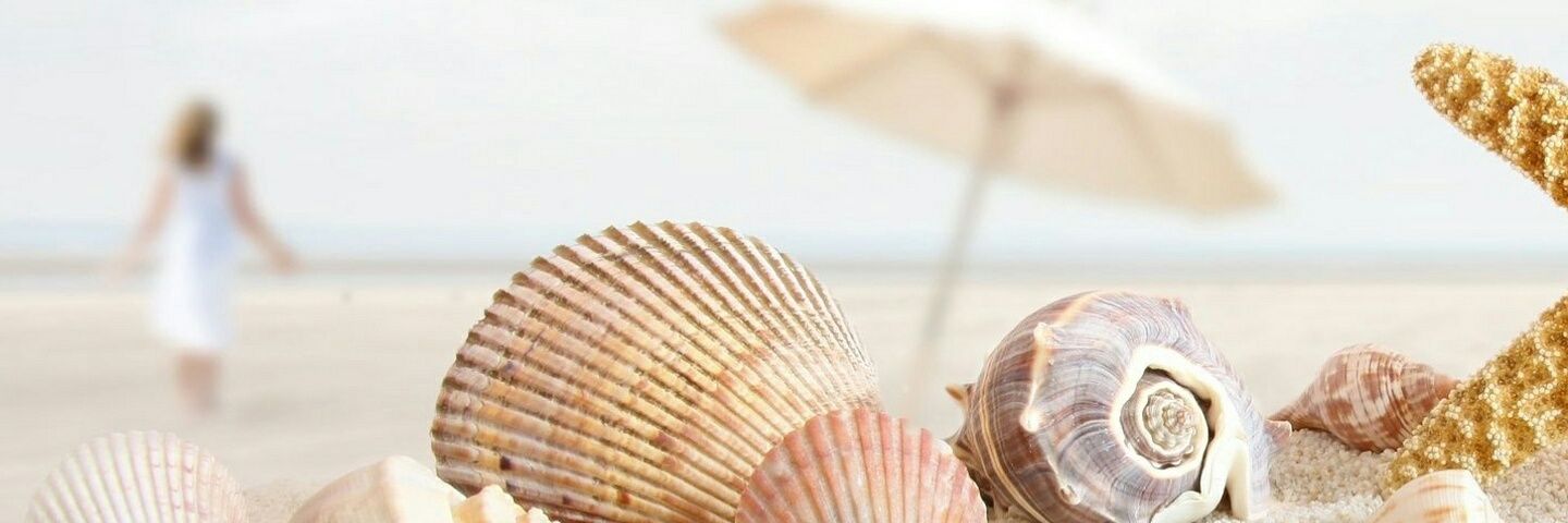 suci_ck1's profile banner image