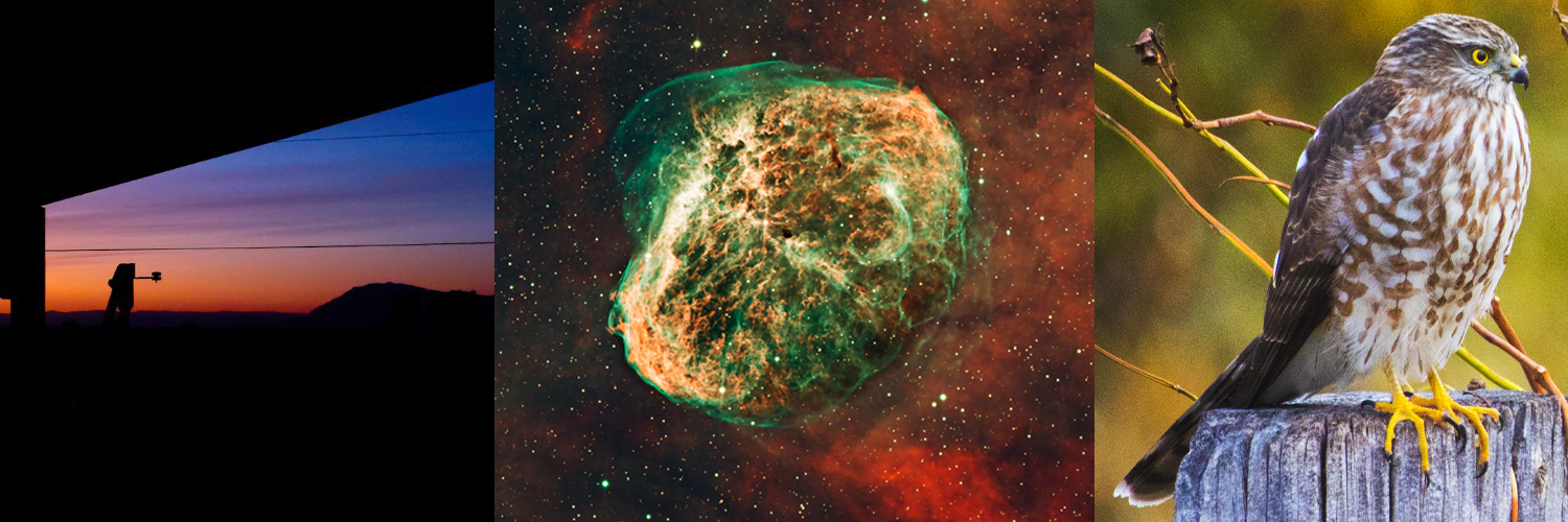 Michael W. Dean banner