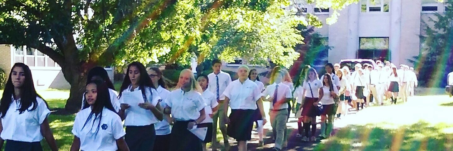 Suzanne Lester banner