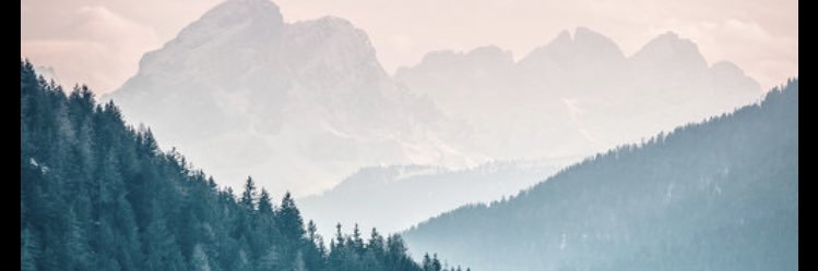 Caaarolla's profile banner image