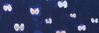 puri0421's profile banner image