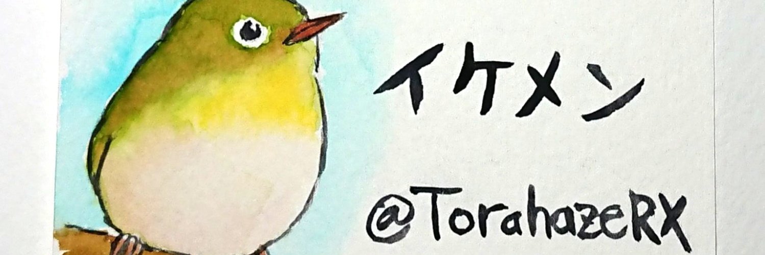 TorahazeRX's profile banner image