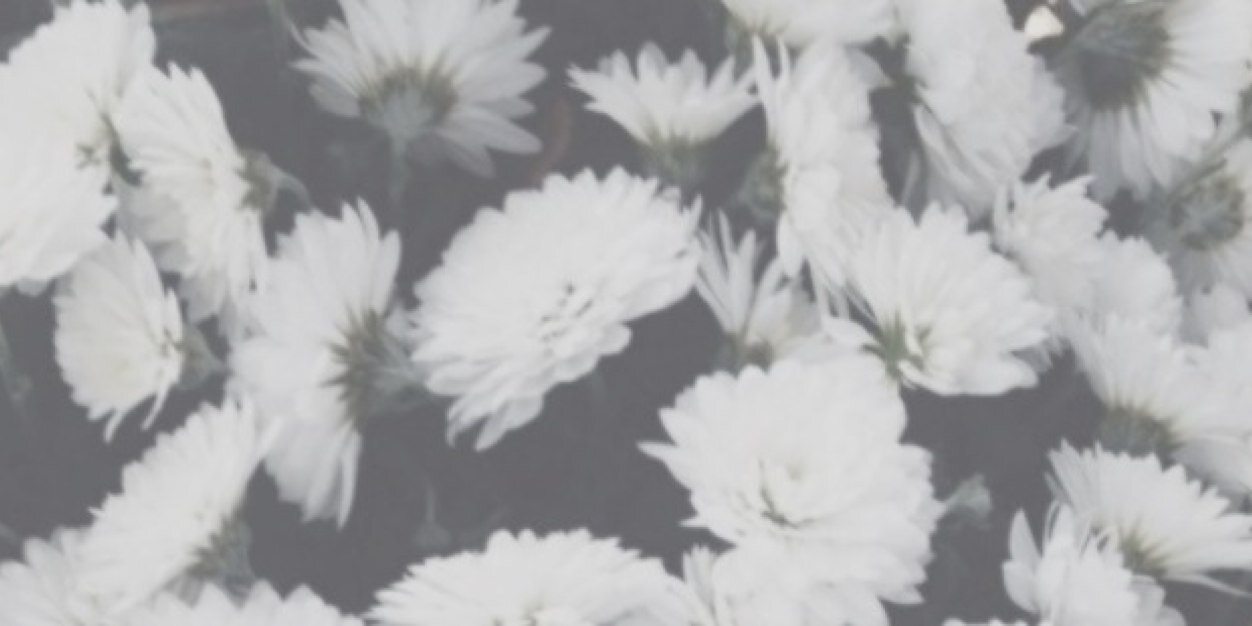 elson_jade's profile banner image