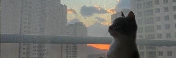 dramaaaqueenn_'s profile banner image