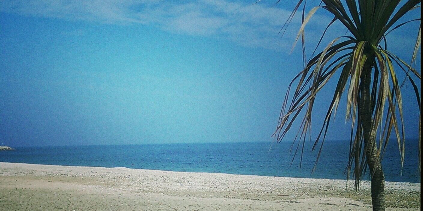 Simone Traini banner