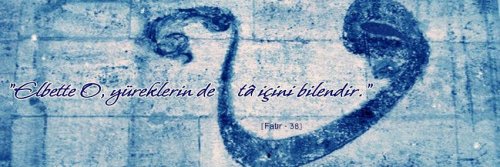historiann19's profile banner image