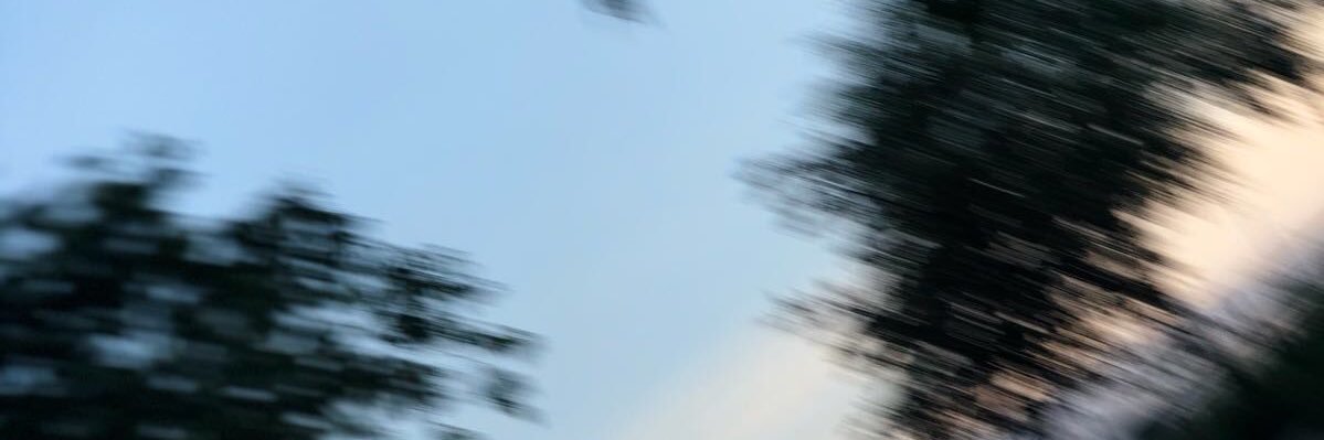 soniaattc's profile banner image