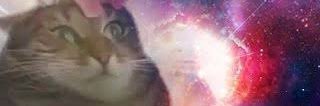 happy_junie2's profile banner image