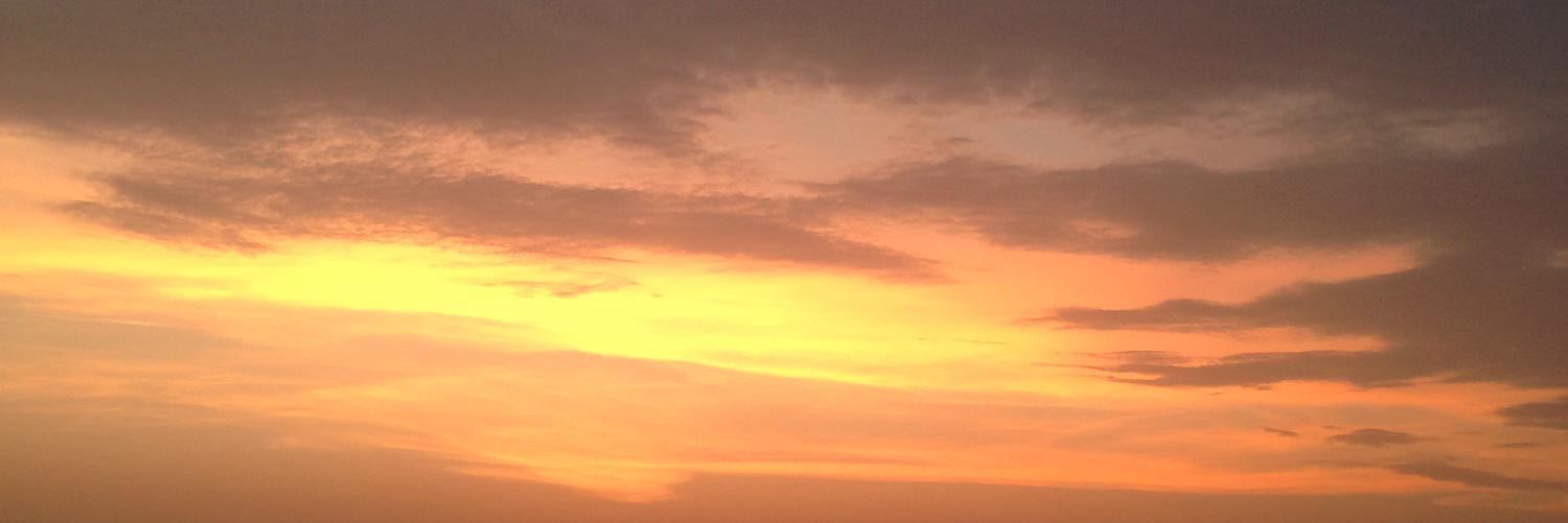Alfareeda_'s profile banner image