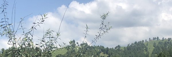aamirshouket Profile Banner