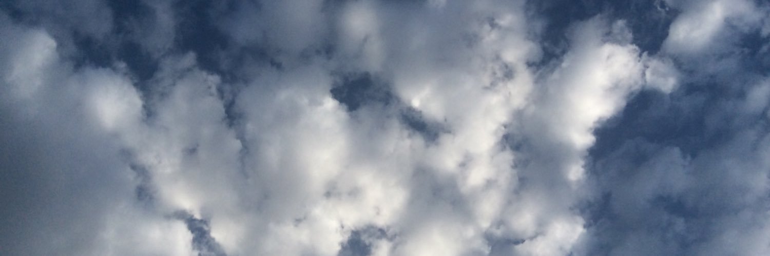 SalvadorCompan's profile banner image