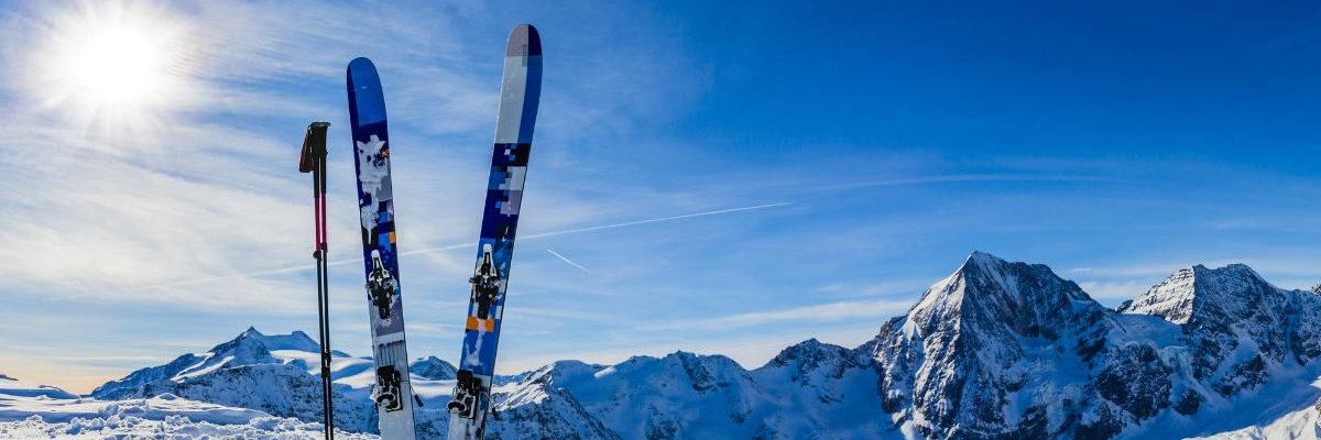 realMikeGregor's profile banner image