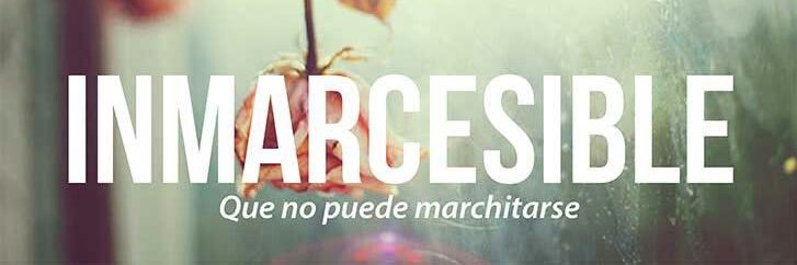 Sandra Rodriguez banner