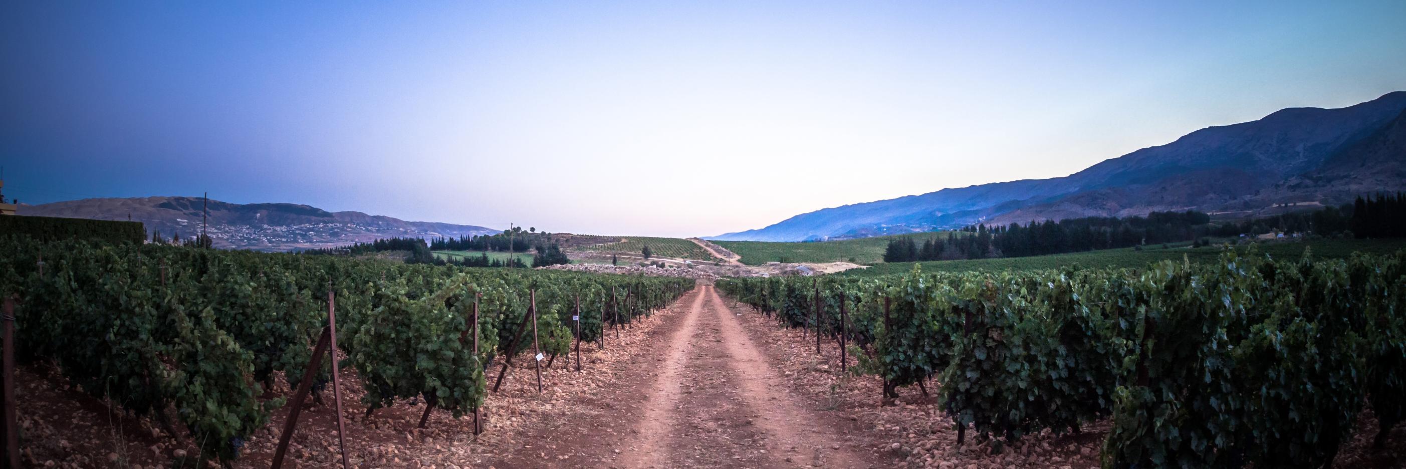 Charles-Louis Mazerolles banner