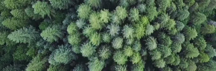 Treesitters Union Media Collective banner