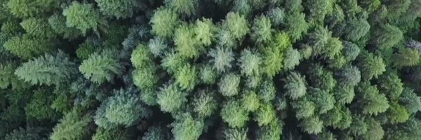 TreeSitUnion Profile Banner