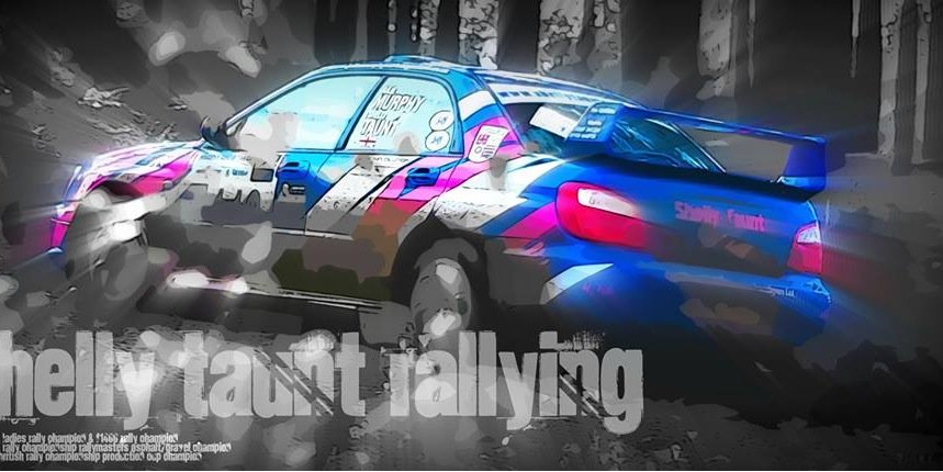 shellytaunt's profile banner image