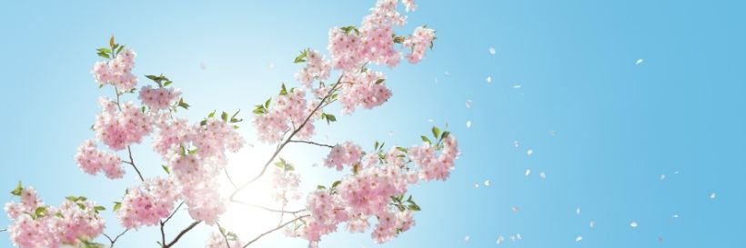 ZippyMusau's profile banner image